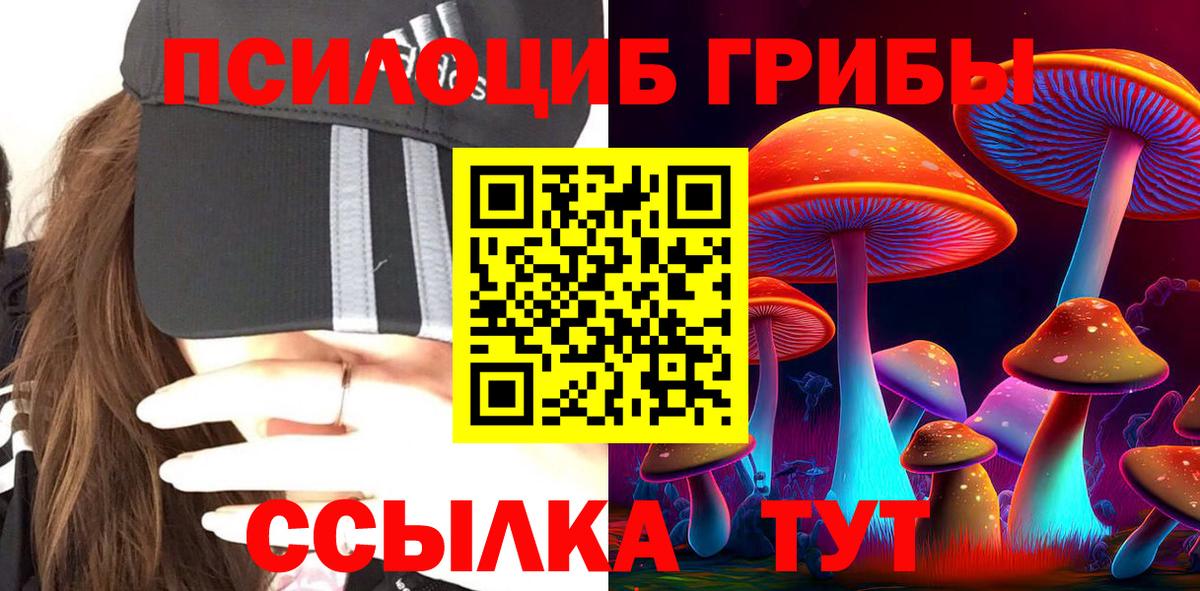 Севастополь  Галлюциногенные грибы Cubensis  Вход с VPN 